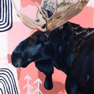 moose in jackson