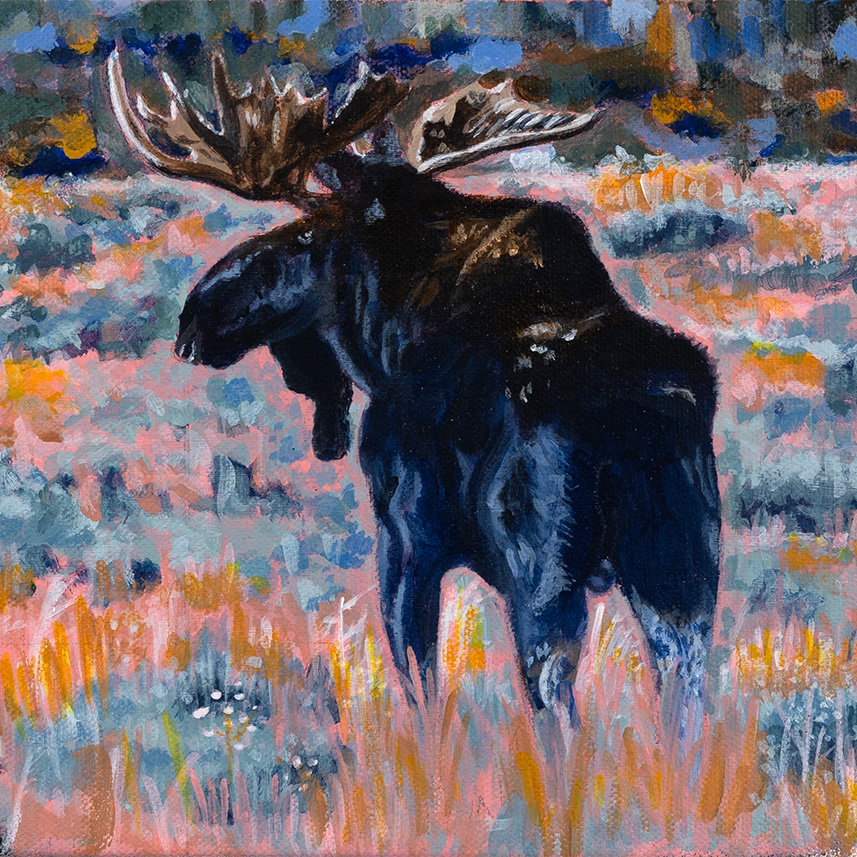 Home still wandering moose painting